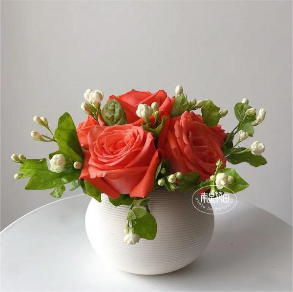 影星玫瑰 · 花堅強