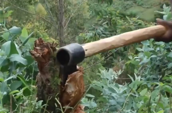 真實故事:非洲盧安達6歲男孩,野菜充飢汙水止渴,殘垣斷壁為家 真實故事:非洲盧安達6歲男孩,野菜充飢汙水止渴,殘垣斷壁為家