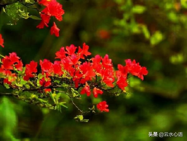 十二首描寫風的詩詞，古人太有才，如何不開懷