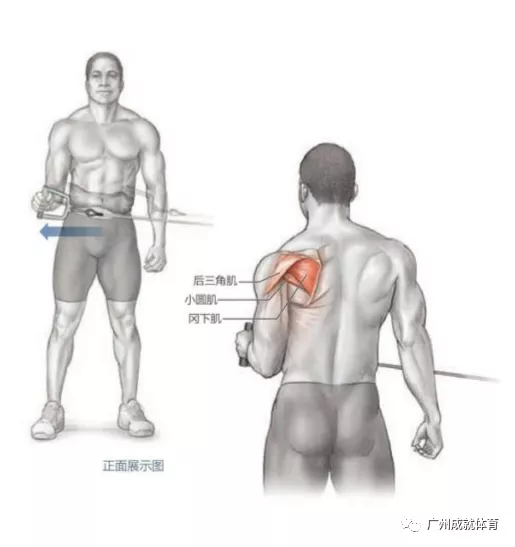 打造完美后三角肌