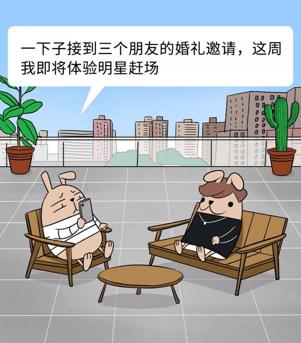 那些取消婚禮的人,都經歷了什麼 那些取消婚禮的人,都經歷了什麼