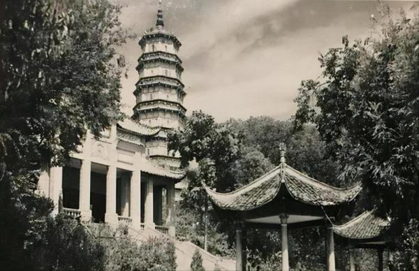 主席遊蛇山與小販攀談，被一小女孩認出，毛：我長得有點像主席喲