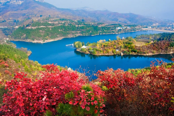 靈山秀水,漫山紅葉......一到深秋,這個被人遺忘的世外桃源又美成仙! 靈山秀水,漫山紅葉......一到深秋,這個被人遺忘的世外桃源又美成仙!