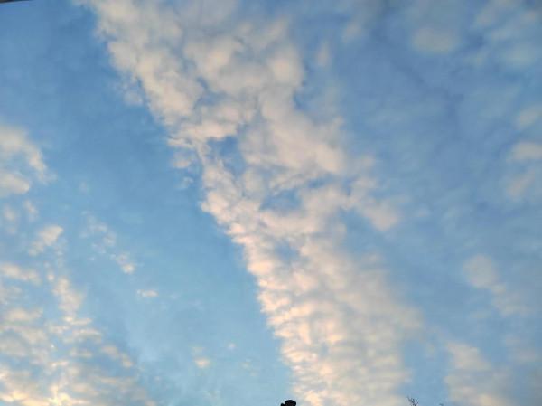 靜默的力量