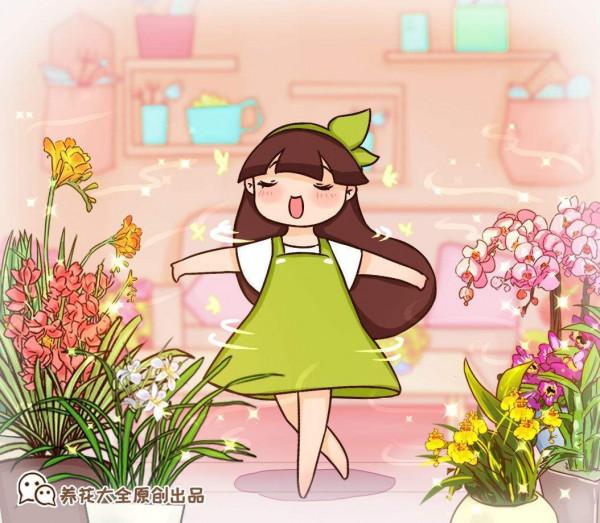 古人說的盆花五姊妹，一個比一個漂亮，放在居室真美觀