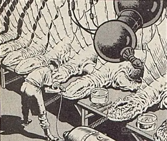 經典街機《恐龍快打》玩了二十年未必知道真相：肥肥才是幕後老大