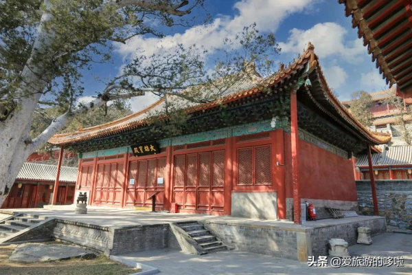 看展喝咖啡、賞壁畫、聽古樂…這座城市的寺廟也太厲害了吧