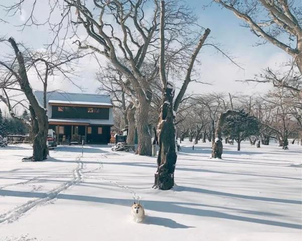 想把日子過成詩