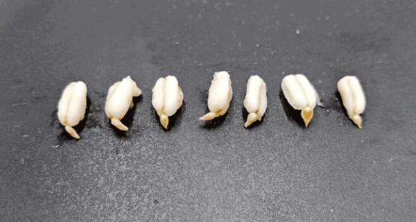 人人都要控血糖,怎麼吃更好? 人人都要控血糖,怎麼吃更好?