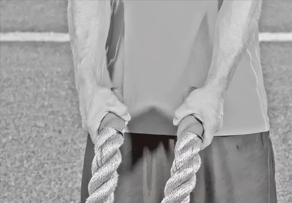 燃脂神器——超受歡迎的戰繩 燃脂神器——超受歡迎的戰繩