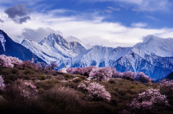 川藏南北線看花，追逐中國最美的春天