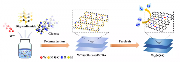 獨特N1O2三配位的鎢單原子催化劑實現氧化還原高效電合成過氧化氫
