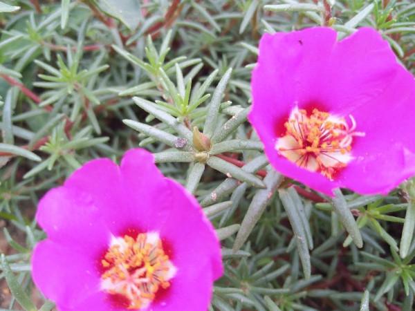 老年人注意三事，能改善睡眠質量，促進身心健康