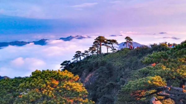 喜報！三清山景區榮獲2020年“中國5A級景區品牌影響力100強”