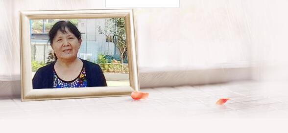 你喜歡紫薇花? 你喜歡紫薇花?