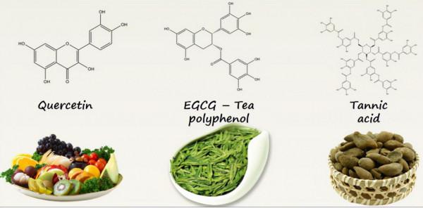 金屬多酚配位生物材料如何應用於癌症治療丨BEYOND人物