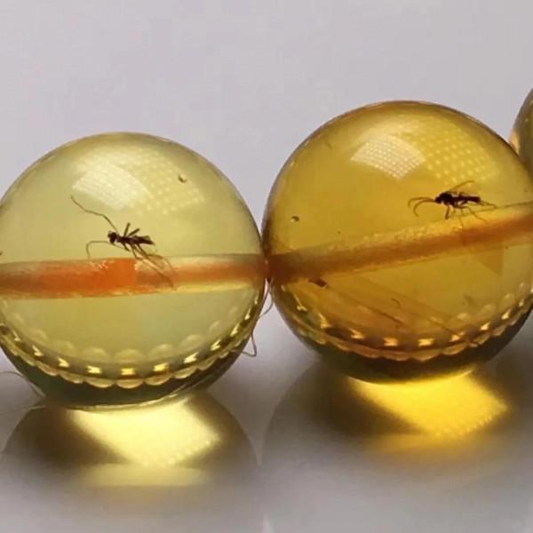 琥珀,時間靜止不動了 琥珀,時間靜止不動了