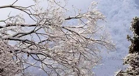 這裡的霧凇，驚豔了西河的冬日時光