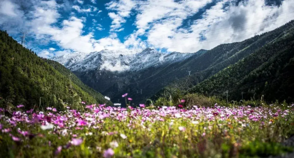 2022年，國內旅行時間表出爐，一鍵解鎖12個月的最佳旅行地