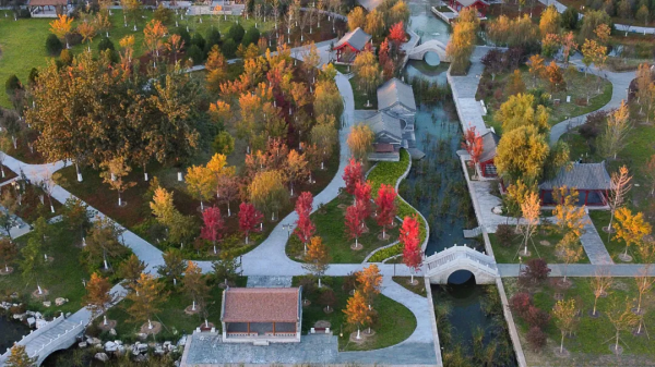 秋染副中心① | 漫步賞秋，張家灣公園內，秋色也能勝春朝！