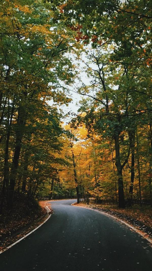 特別漂亮的路風景分享