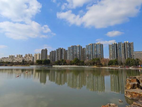 新年的南翔，到處都有美