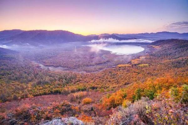 打卡第七十八天 清水辟穀減肥第七十一天