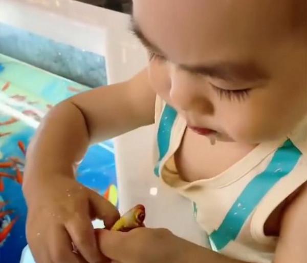 湖北一萌娃面對小金魚時直接動嘴，網友：他哈喇子都流出來了