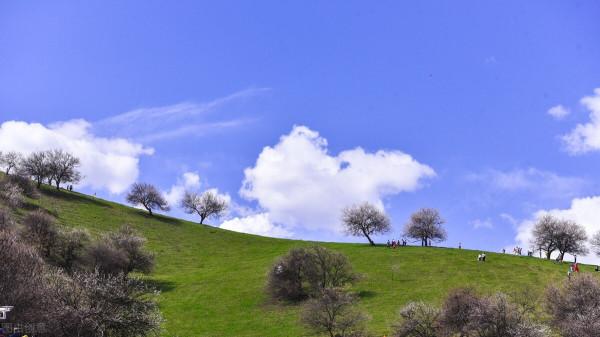 超出你想象的空中草原