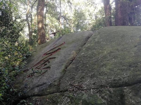 走走看看怡然自得