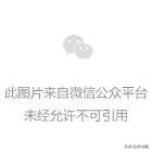 元旦快樂！快用這款taptap9.5分的獨立遊戲塞滿你的假期吧