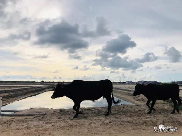 兩年前國慶回海南遊記（多圖）