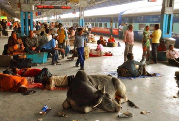 美利堅單日確診病例超25萬，但這並不可怕，可怕的是正在轉移視線