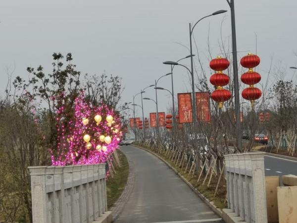 踏青早行人 作者：張鎖龍