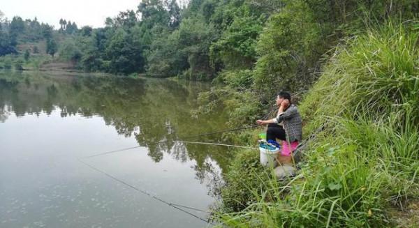 入秋之後,就選這幾個地方下杆,大鯉大草都沒跑 入秋之後,就選這幾個地方下杆,大鯉大草都沒跑