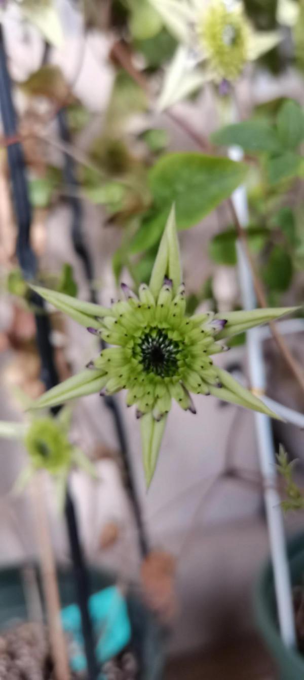 一個轉身，秋天成了風景，冬天成了期待，好好生活，慢慢相遇