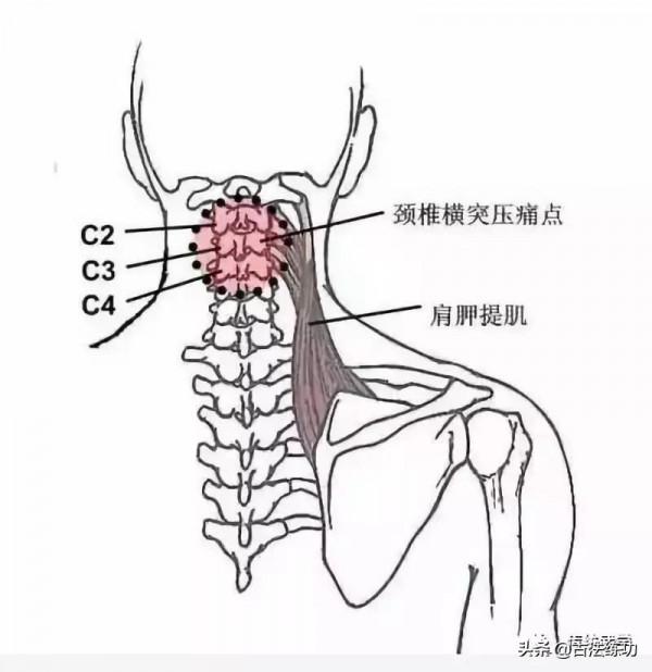 解密筋骨訓練 解密筋骨訓練