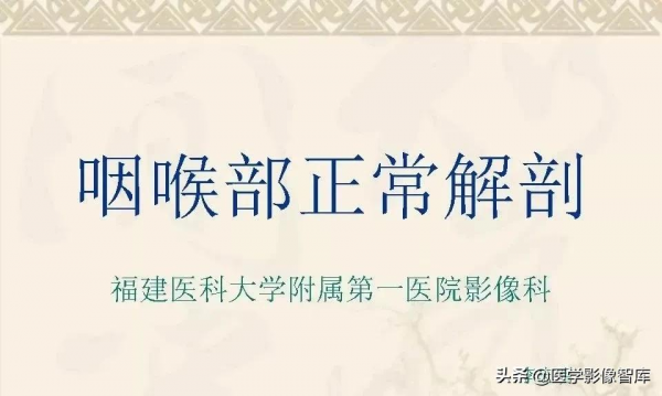 咽喉部解剖最全圖解，值得收藏