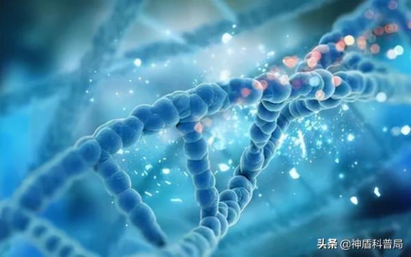 癌症能自行消除？在被稱為“惡魔”動物的身上，科學家發現了秘密