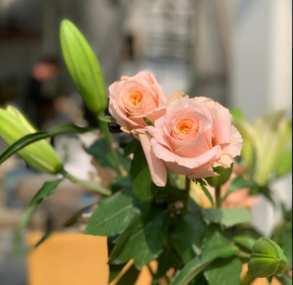 真正能讓你走遠的,都是自律、積極和勤奮 真正能讓你走遠的,都是自律、積極和勤奮