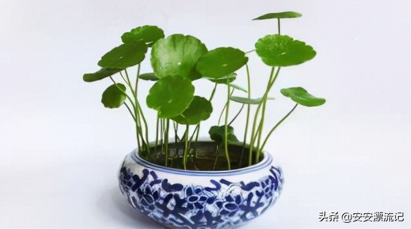 為什麼有些人喜歡挑別人的刺？愛挑刺的人是自卑的表現嗎？