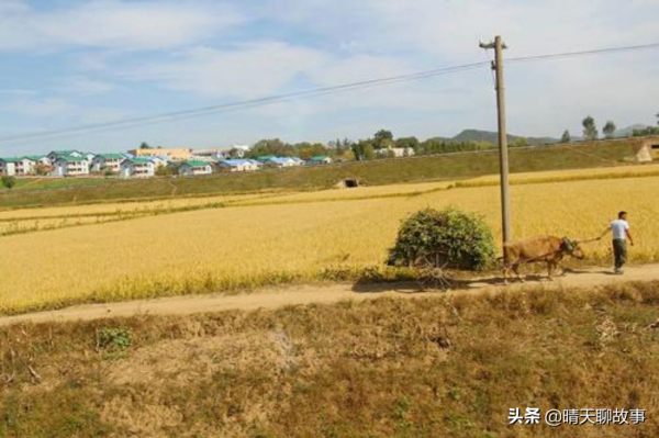 朝鮮農村的真實模樣，讓你居住一年，能接受嗎？