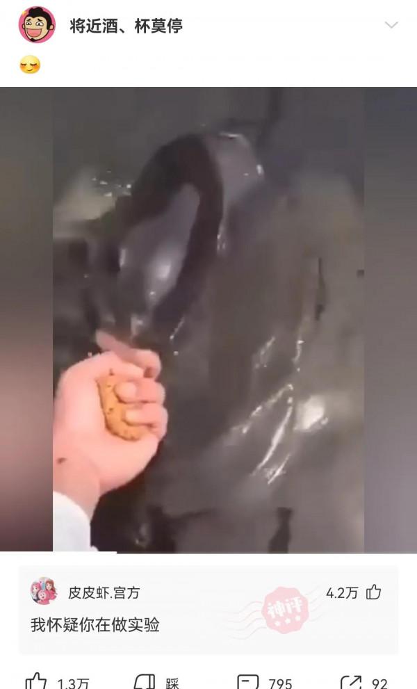 難道這就是娛樂圈的地位？