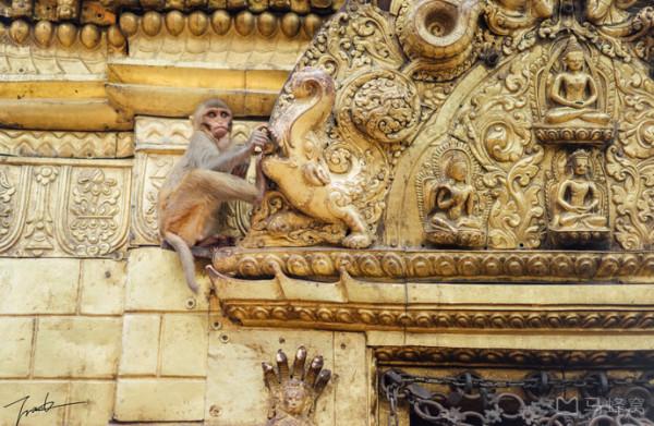 多種宗教融合下的高山眾神國度、被虔誠昇華的佛塔和印度教女神廟