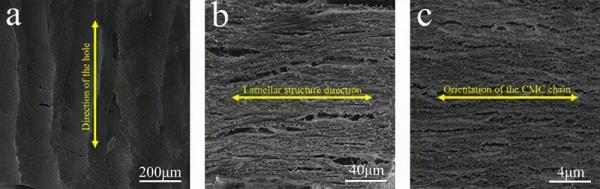 用於應變感測器的梯度擴散各向異性羧甲基纖維素水凝膠