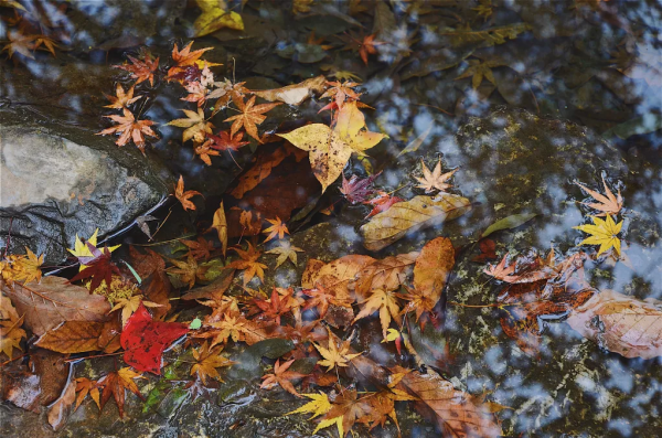 為什麼秋天一定要去旅行？就是這些理由