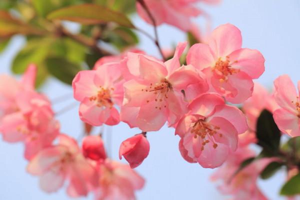 當年的《大魚海棠》經典催淚臺詞，你還記得嗎？