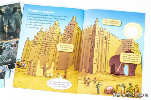 等了一年的分級閱讀王者:《大貓》來了 等了一年的分級閱讀王者:《大貓》來了