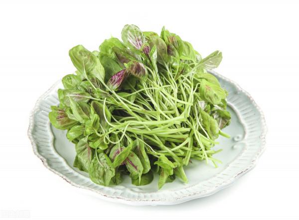 想讓孩子長得高，可別錯過這6種高鈣蔬菜，鈣含量比牛奶高