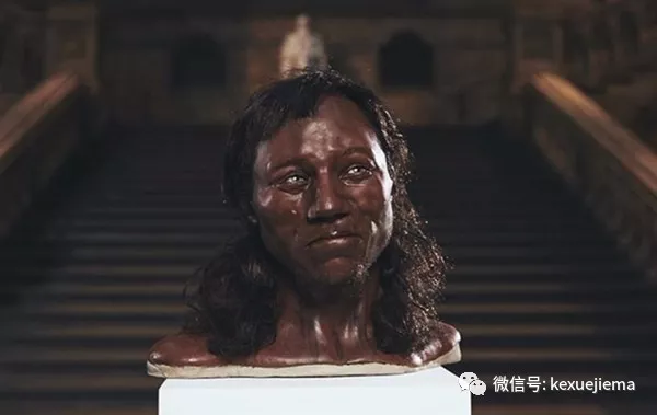 快來看啊！一萬年前的英國人竟長這樣，哈哈哈
